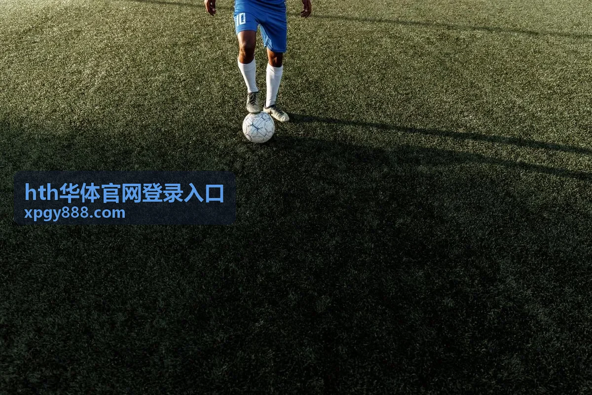 hth华体官网登录入口平台服务说明展示图
